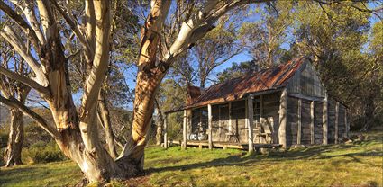 Wheelers Hut - Koscuiszko NP - NSW T (PBH4 00 12755)